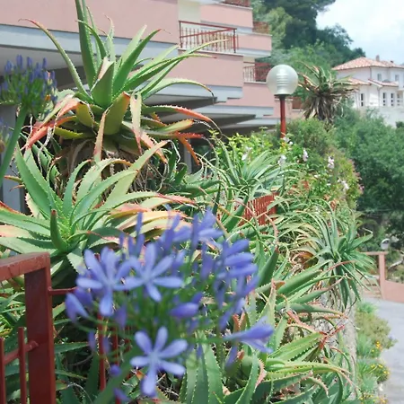 شقة فندقية Park