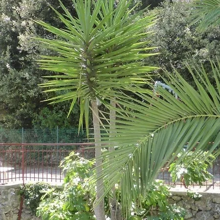 Park Appart hôtel 3*