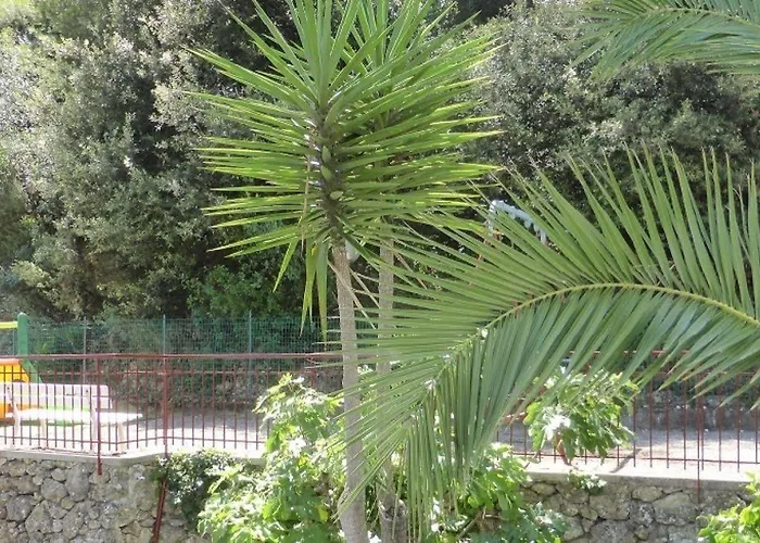 Park شقة فندقية 3*